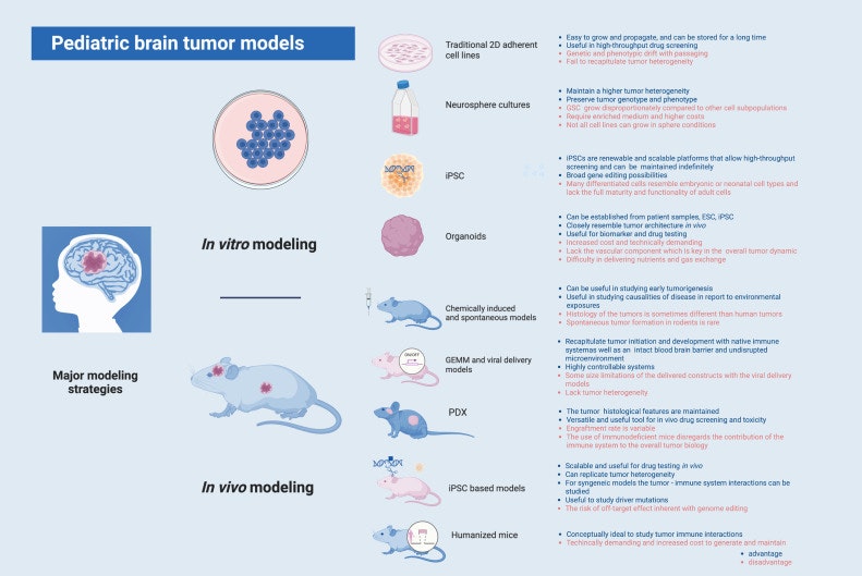 Pioneering Models Of Pediatric Brain Tumors | Children's Brain Tumor ...